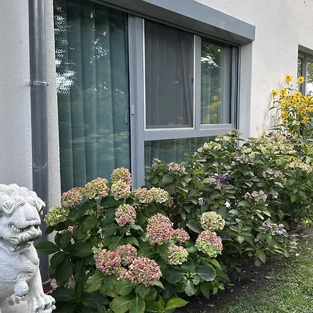 דירה Seeperle באד צווישנהם