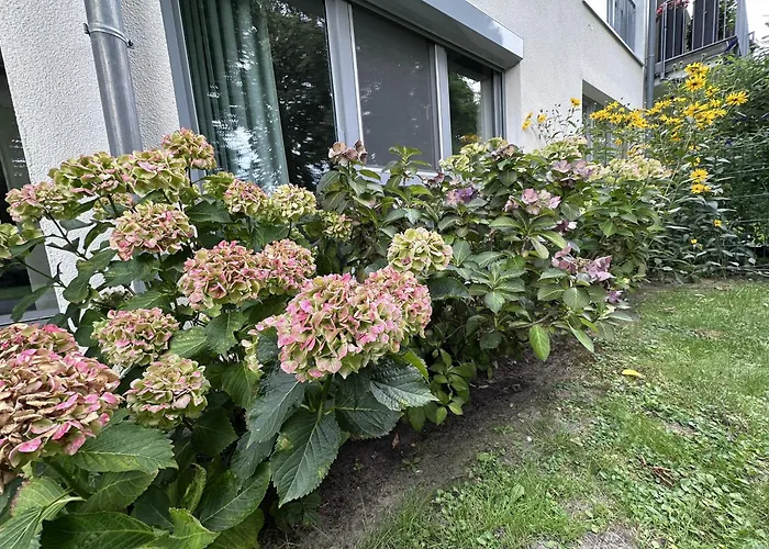 Апартаменты Seeperle